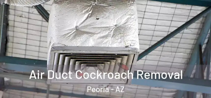 Air Duct Cockroach Removal Peoria - AZ