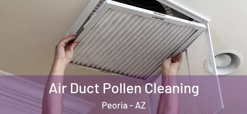  Air Duct Pollen Cleaning Peoria - AZ