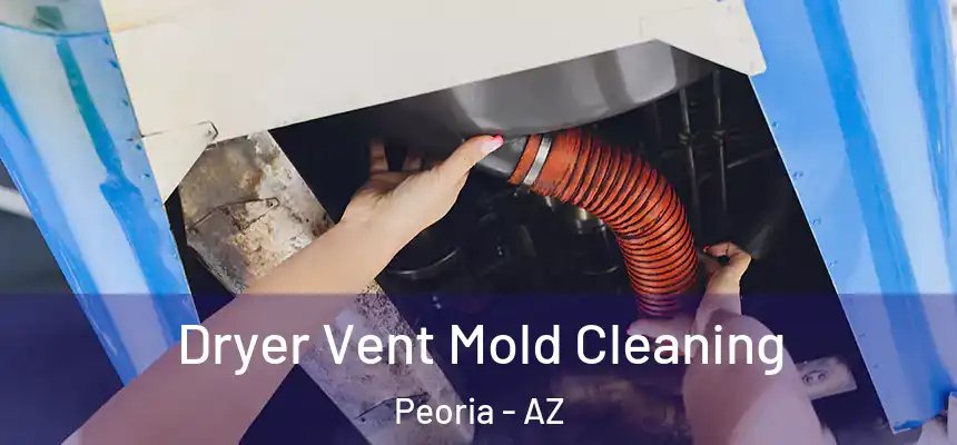 Dryer Vent Mold Cleaning Peoria - AZ