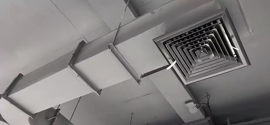 Restorative Allergy Relief Vent Cleaning – Coil, Blower & Housing Detail in Peoria