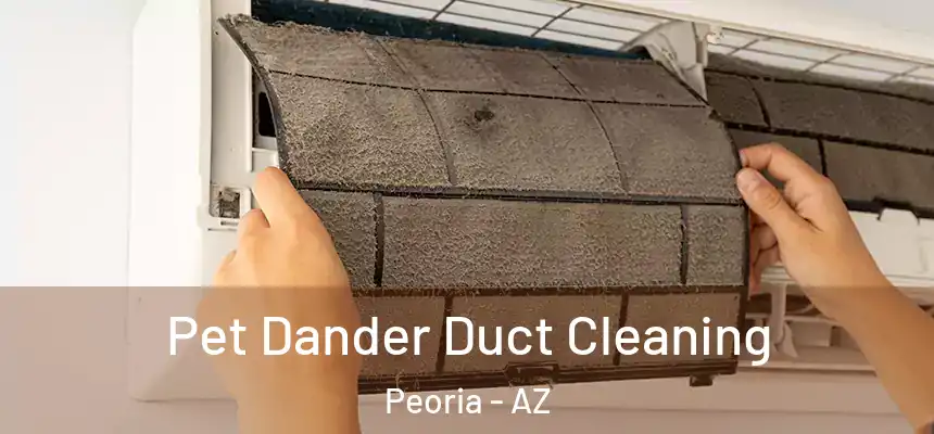 Pet Dander Duct Cleaning Peoria - AZ