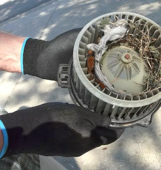 About Air Duct Mice Removal in Peoria, AZ