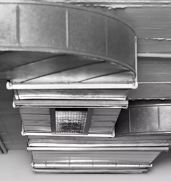 Professional Air Duct Pet Hair Removal in Peoria, AZ