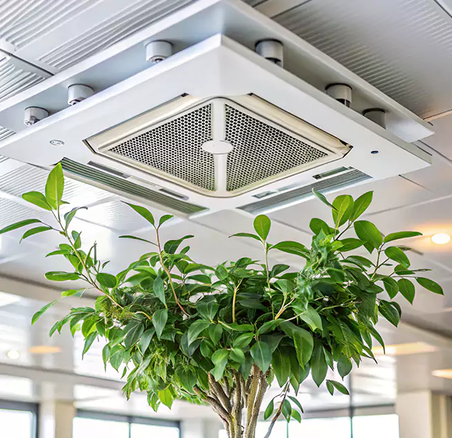 Why Homeowners & Businesses Trust Us in Peoria, AZ?