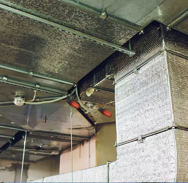 Why Homeowners & Businesses Trust Us Peoria, AZ?