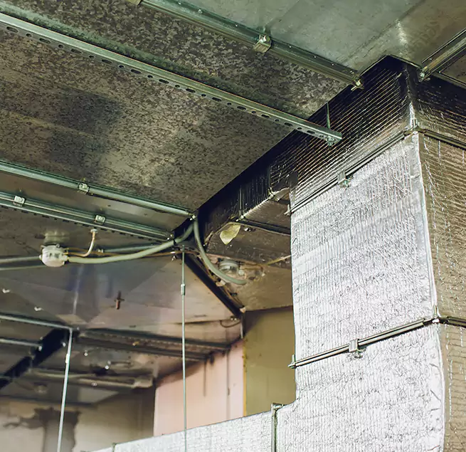 Why Homeowners & Businesses Trust Us in Peoria, AZ?