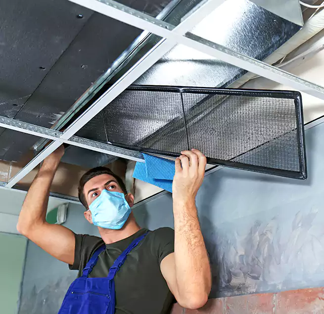 Why Homeowners Businesses Trust Us in Peoria, AZ